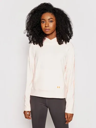 Mikina Under Armour (23858673)